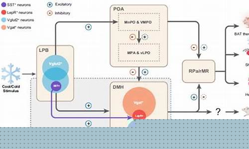 体温模拟系统在药物研发中的关键作用