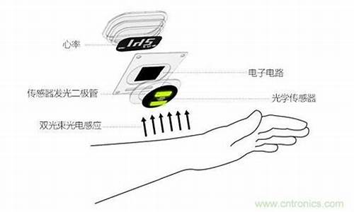 心率检测仪的工作原理与技术解析