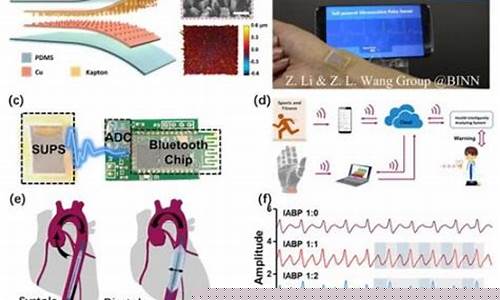 脉搏模拟器的市场发展与未来趋势