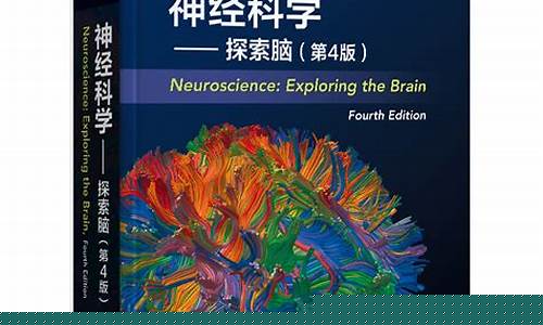探索脑电仿真器如何改变心理治疗方式