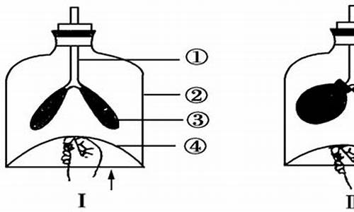 呼吸模拟系统的市场前景及其行业影响